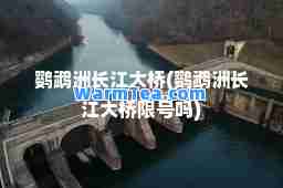 鹦鹉洲长江大桥(鹦鹉洲长江大桥限号吗)
