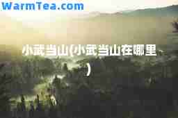 小武当山(小武当山在哪里)