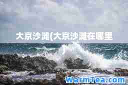 大京沙滩(大京沙滩在哪里)