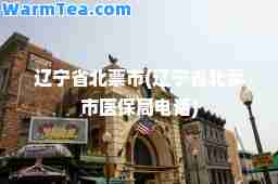 辽宁省北票市(辽宁省北票市医保局电话)