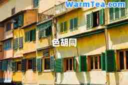 色胡同