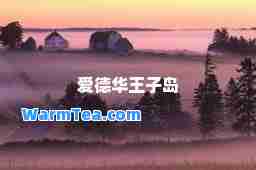 爱德华王子岛