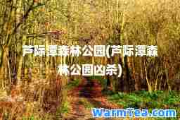芦际潭森林公园(芦际潭森林公园凶杀)