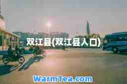 双江县(双江县人口)