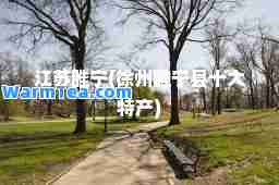 江苏睢宁(徐州睢宁县十大特产)