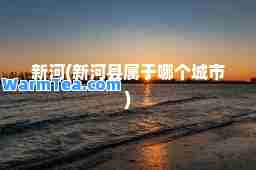 新河(新河县属于哪个城市)