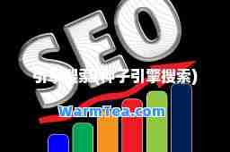 引擎搜索(种子引擎搜索)