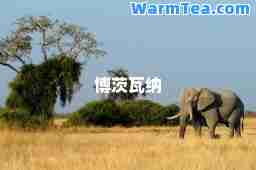博茨瓦纳
