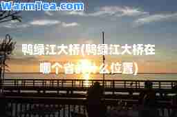 鸭绿江大桥(鸭绿江大桥在哪个省的什么位置)