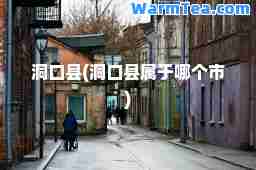 洞口县(洞口县属于哪个市)