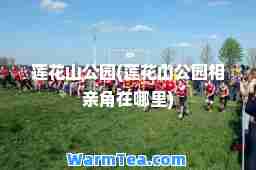 莲花山公园(莲花山公园相亲角在哪里)
