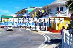 英属开曼群岛(英属开曼群岛在哪里)