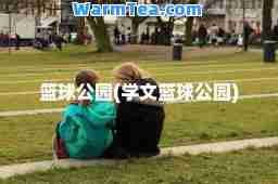 篮球公园(学文篮球公园)