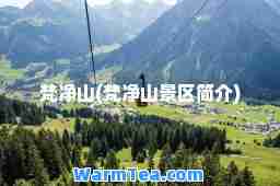 梵净山(梵净山景区简介)