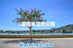 浐灞国家湿地公园