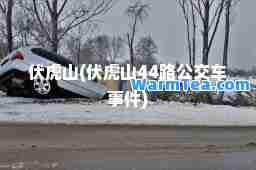 伏虎山(伏虎山44路公交车事件)