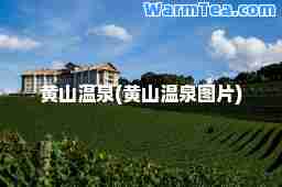 黄山温泉(黄山温泉图片)