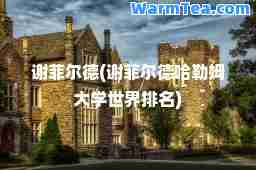谢菲尔德(谢菲尔德哈勒姆大学世界排名)