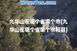 九华山在哪个省哪个市(九华山在哪个省哪个市和县)