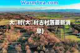 大汖村(大汖村古村落消息)