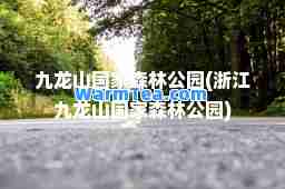 九龙山国家森林公园(浙江九龙山国家森林公园)