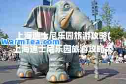 上海迪士尼乐园旅游攻略(上海迪士尼乐园旅游攻略大全)