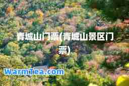 青城山门票(青城山景区门票)