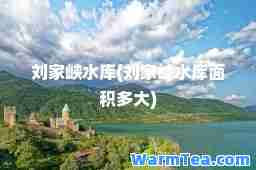 刘家峡水库(刘家峡水库面积多大)