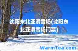 沈阳东北亚滑雪场(沈阳东北亚滑雪场门票)
