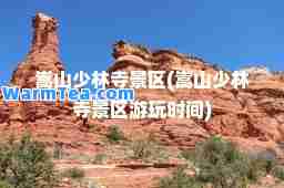 嵩山少林寺景区(嵩山少林寺景区游玩时间)