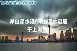 洋山深水港(洋山深水港属于上海吗)