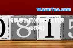 桥牌怎么玩(桥牌怎么玩视频教程)