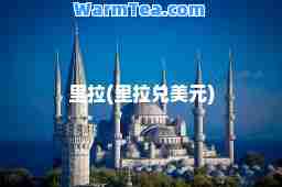 里拉(里拉兑美元)