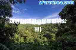 鸡冠山(鸡冠山国家森林公园)
