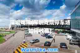 深圳戏院(深圳戏院停车场如何收费)