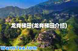 龙脊梯田(龙脊梯田介绍)