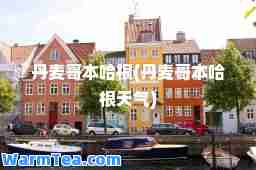 丹麦哥本哈根(丹麦哥本哈根天气)