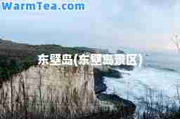 东壁岛(东壁岛景区)