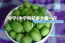 中宁(中宁枸杞多少钱一斤)