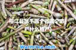 榕江县属于哪个省哪个市(产什么特产)