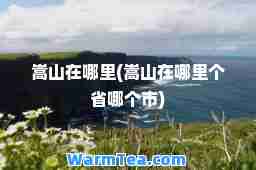 嵩山在哪里(嵩山在哪里个省哪个市)