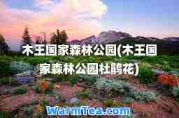 木王国家森林公园(木王国家森林公园杜鹃花)