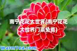 南宁花花大世界(南宁花花大世界门票免费)