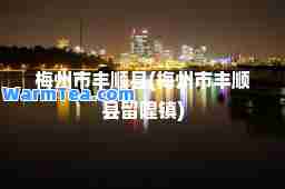 梅州市丰顺县(梅州市丰顺县留隍镇)