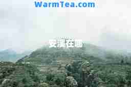 安溪在哪