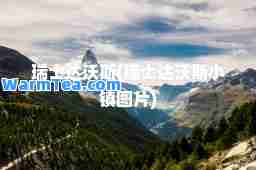 瑞士达沃斯(瑞士达沃斯小镇图片)