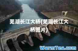 芜湖长江大桥(芜湖长江大桥图片)