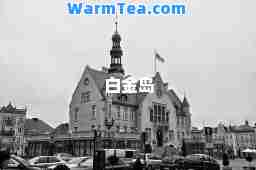 白金岛