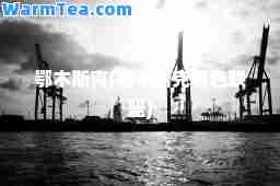 鄂木斯克(鄂木斯克黑色联盟)