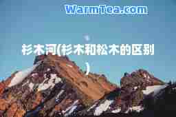 杉木河(杉木和松木的区别)